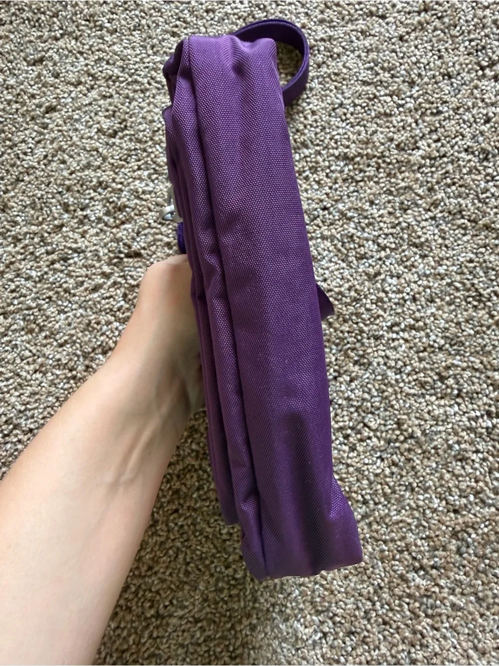 BAGGALLINI Plum Purple Nylon Zippered Crossbody Shoulder Bag